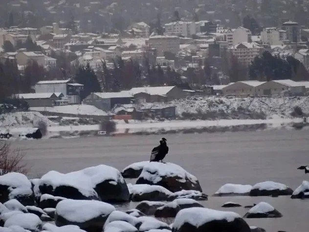 Declarararon la emergencia climática en Bariloche por un fuerte temporal de nieve