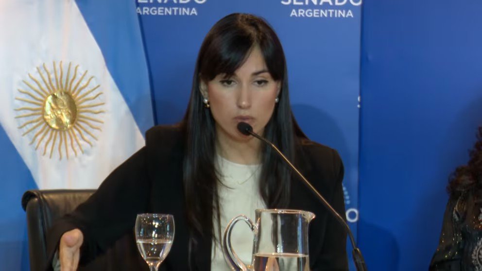 “Estamos al borde del decrecimiento poblacional”: debate en el Senado sobre el desafío del envejecimiento de la sociedad
