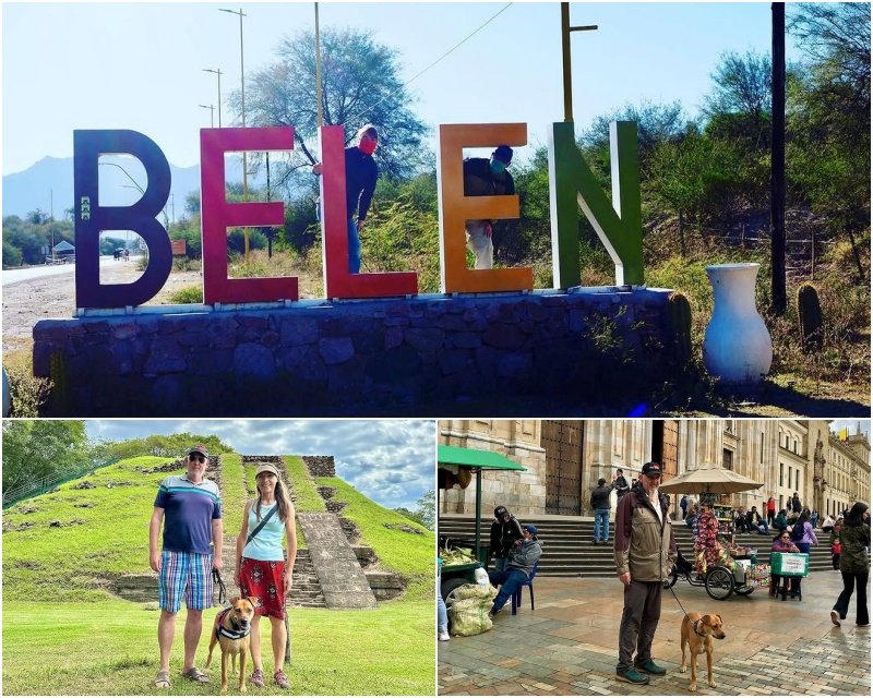 De Belén a los Alpes: la historia de Banda, la perrita callejera que fue adoptada por turistas suizos durante la pandemia