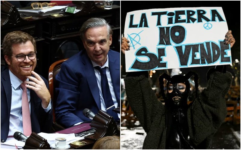 La Justicia rechazó la medida solicitada por dos diputados para frenar la venta ilimitada de tierras a extranjeros